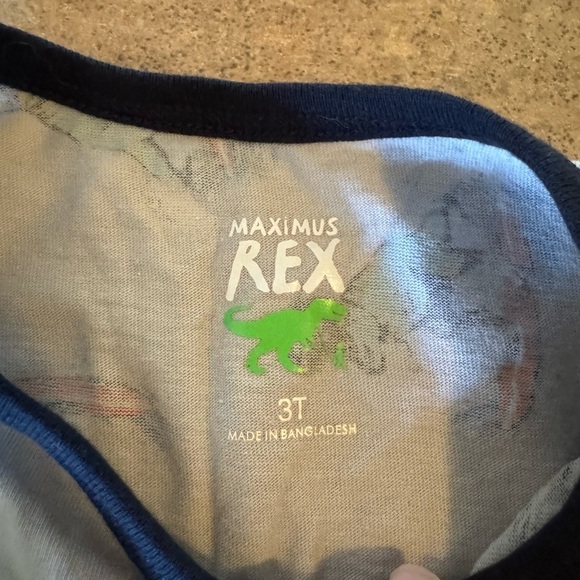 2 PACK! 3T Dinosaur Graphic Kids Tank Tops - Picture 7 of 7